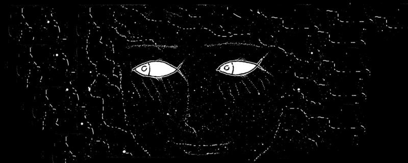 Können wir uns auf den gesunden Menschenverstand verlassen? Zeichnung von Mädchenaugen oder Fischen - Können wir unserem Verstand vertrauen?