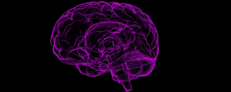 Mit BrainRotation zu neuen Blickwinkeln für das Gehirn - Illustration eines Röntgenbildes vom Gehirn
