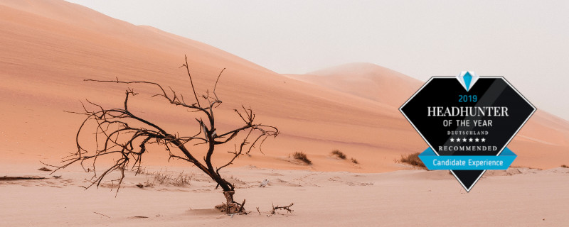 Für ein lebendiges und langfristiges Miteinander hilft eine gute Kommunikation - Toter Baum in der Wüste